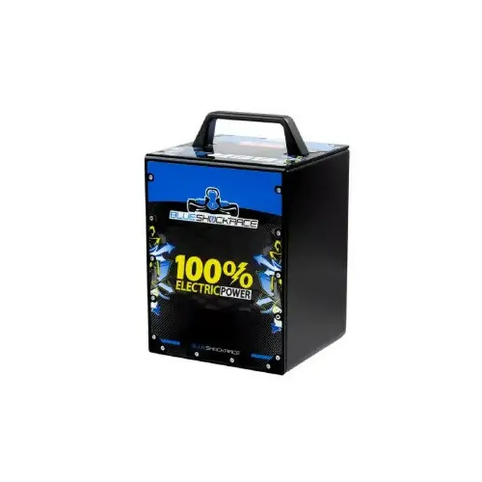 BSR BATTERY B1600